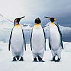 100 Pics answers and cheats level 51-100