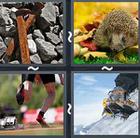 4 Pics 1 Word answers and cheats level 2763