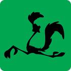 Shadow Quiz answers and cheats level 20