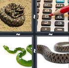 4 Pics 1 Word answers and cheats level 862