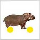 100 Pics answers and cheats level 1-50