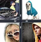 4 Pics 1 Word answers and cheats level 1326