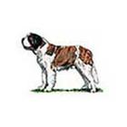 100 Pics answers and cheats level 1-50