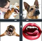 4 Pics 1 Word answers and cheats level 1174