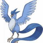 iGuess for Pokemon answers and cheats level 13