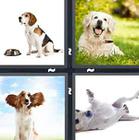 4 Pics 1 Word answers and cheats level 1358