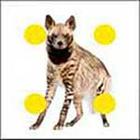 100 Pics answers and cheats level 51-100