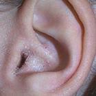 Close Up Pics answers and cheats level 16-8