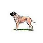 100 Pics answers and cheats level 1-50