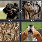 4 Pics 1 Word answers and cheats level 2599