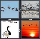 4 Pics 1 Word answers and cheats level 1677