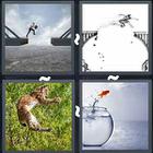 4 Pics 1 Word answers and cheats level 3353