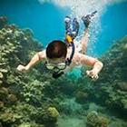 100 Pics answers and cheats level 1-50