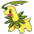 Poke Icon answers and cheats level 51-60