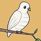 100 Pics answers and cheats level 1-50