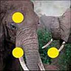 100 Pics answers and cheats level 1-50