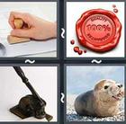 4 Pics 1 Word answers and cheats level 2723