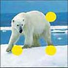 100 Pics answers and cheats level 1-50