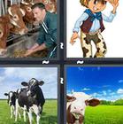 4 Pics 1 Word answers and cheats level 1370