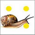 100 Pics answers and cheats level 1-50