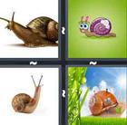 4 Pics 1 Word answers and cheats level 926