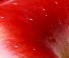 Zoomed In answers and cheats level 1-10
