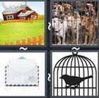 4 Pics 1 Word answers and cheats level 2894