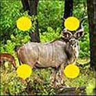 100 Pics answers and cheats level 51-100