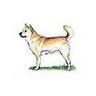 100 Pics answers and cheats level 51-100