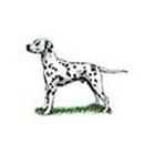 100 Pics answers and cheats level 1-50