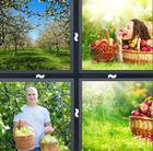 4 Pics 1 Word answers and cheats level 840
