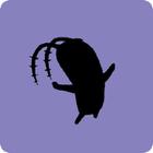 Shadow Quiz answers and cheats level 480