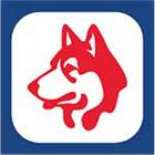 Logo Quiz Ultimate answers and cheats level 28