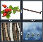 4 Pics 1 Word answers and cheats level 1700