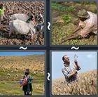 4 Pics 1 Word answers and cheats level 2937