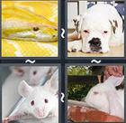 4 Pics 1 Word answers and cheats level 2430