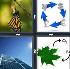 4 Pics 1 Word answers and cheats level 739