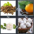 4 Pics 1 Word answers and cheats level 2125