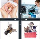 4 Pics 1 Word answers and cheats level 1122