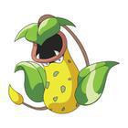 iGuess for Pokemon answers and cheats level 135