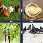 4 Pics 1 Word answers and cheats level 511