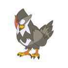 iGuess for Pokemon answers and cheats level 25