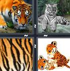 4 Pics 1 Word answers and cheats level 1354
