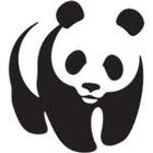 Logo Quiz Ultimate answers and cheats level 5