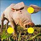 100 Pics answers and cheats level 1-50