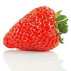 Close Up Pics answers and cheats level 38-10