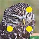100 Pics answers and cheats level 1-50
