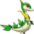 iGuess for Pokemon answers and cheats level 129