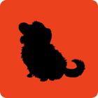 Shadow Quiz answers and cheats level 316