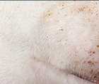 Zoomed In answers and cheats level 101-110
